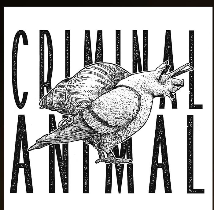 Criminal Animal