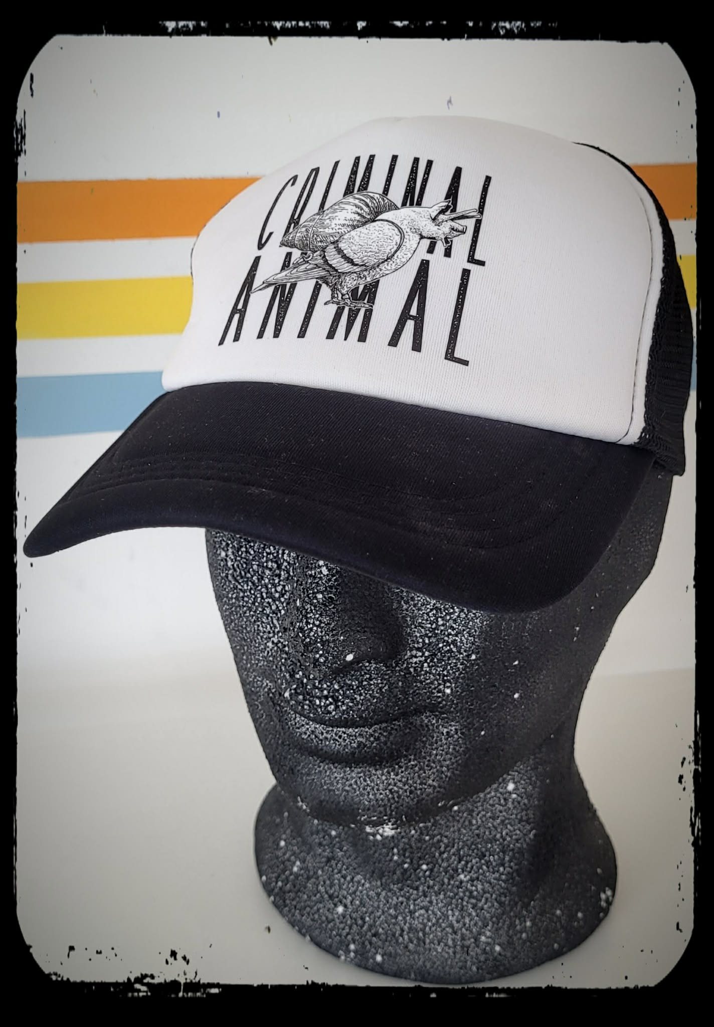 Casquette